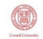 Université Cornell